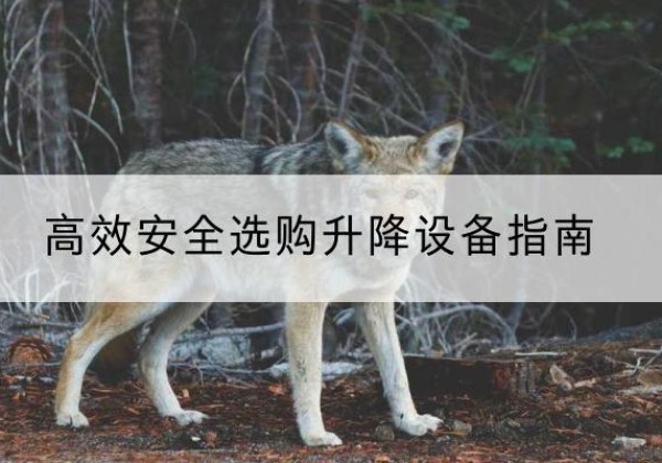 盐山升降货梯厂家推荐-*安全选购升降设备指南