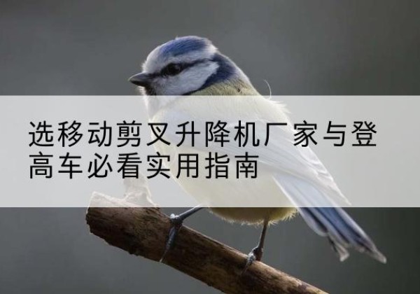 盐山电动升降机厂家-选移动剪叉升降机厂家与登高车必看实用指南