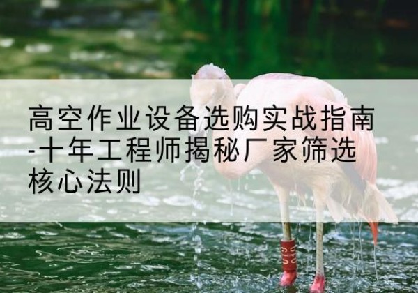 盐山剪叉式升降机厂家-高空作业设备选购实战指南-十年工程师揭秘厂家筛选核心法则